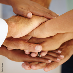 Verantwortung, Fortschritt und Engagement